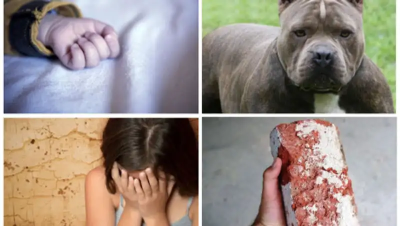 Расцвет педофилии, врачебные неприятности и нападение питбуля - итоги недели