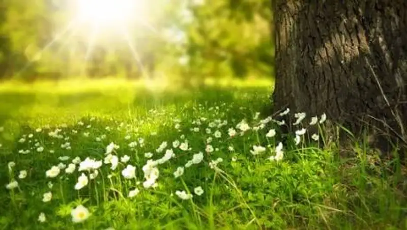 Какая погода ожидает казахстанцев в понедельник