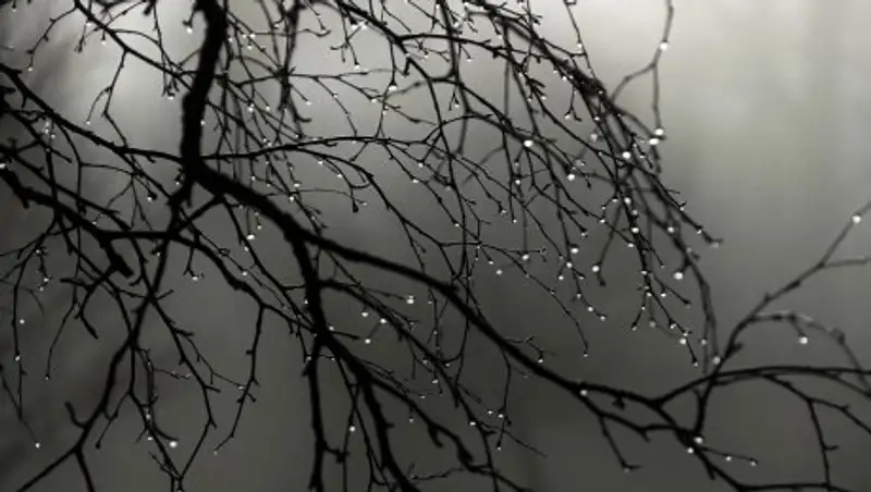 Синоптики объяснили аномально теплую погоду