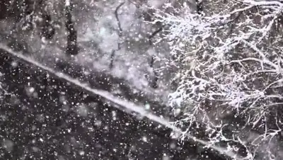 Zakon.kz, фото - Новости Zakon.kz от 09.12.2016 21:23