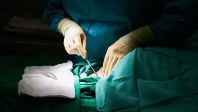 pixabay.com, фото - Новости Zakon.kz от 03.08.2020 16:40