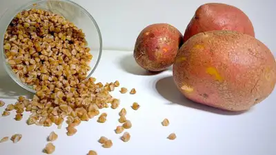 yandex.kz, фото - Новости Zakon.kz от 16.04.2020 17:09