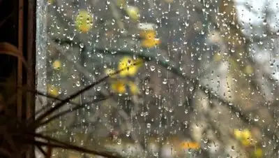 Zakon.kz, фото - Новости Zakon.kz от 18.10.2017 17:17