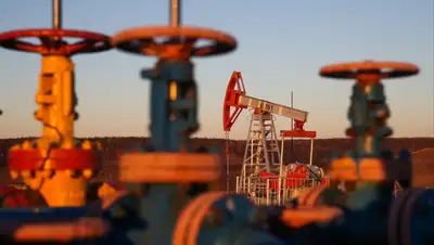 Head Topics, фото - Новости Zakon.kz от 06.06.2020 23:28