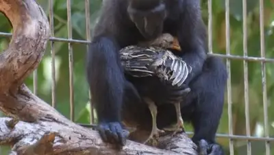 Zakon.kz, фото - Новости Zakon.kz от 28.08.2017 23:16