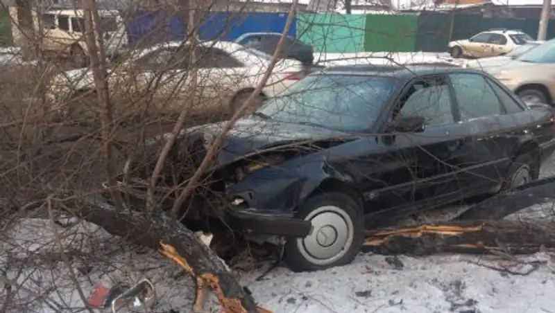 Водитель Audi снес дерево в Алматы