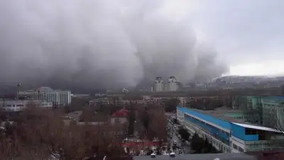 Pikabu, фото - Новости Zakon.kz от 23.05.2018 18:48