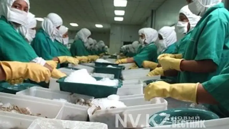 Западная система жесткого самоконтроля вводится на пищевых предприятиях Караганды