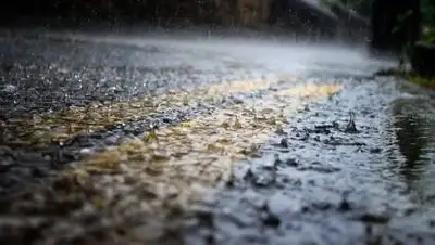 pixabay.com, фото - Новости Zakon.kz от 07.06.2021 12:29