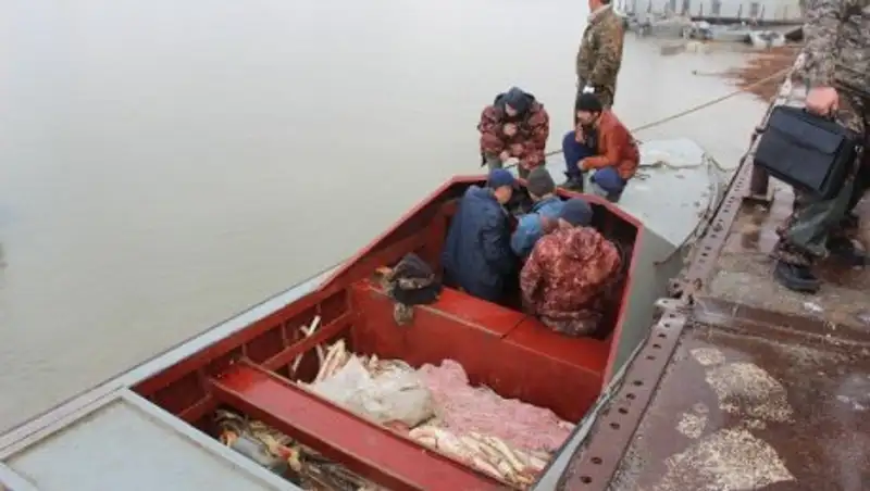 Браконьеры в Атырауской области нанесли ущерб природе на 378 млн тенге