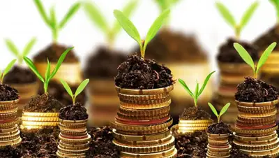 24 Канал, фото - Новости Zakon.kz от 06.03.2020 23:51