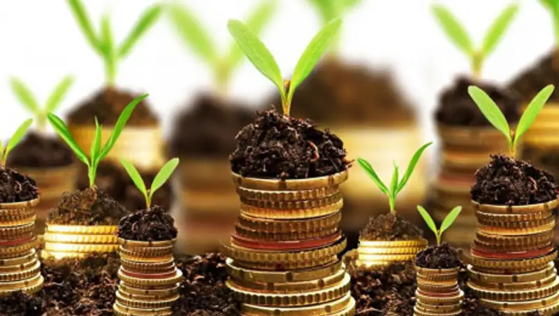 Сельчане Кызылординской области требуют изменить земельный закон