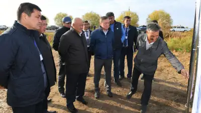 пресс-служба акима Туркестанской области, фото - Новости Zakon.kz от 03.11.2019 14:40