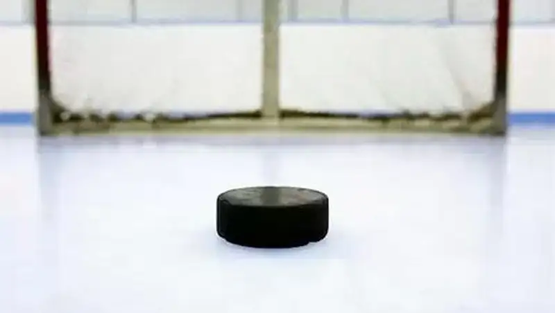 Аким сельского округа уволен в СКО за нарушения при покупке хоккейного корта для села