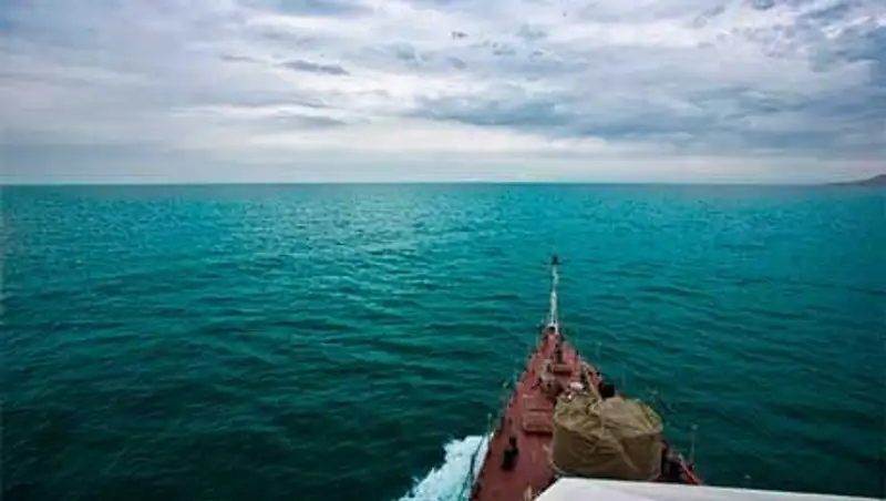 Четырех браконьеров из России задержали морские пограничники