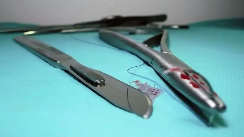 Уроки мясника: зачем алматинские школьники разделали морскую свинку