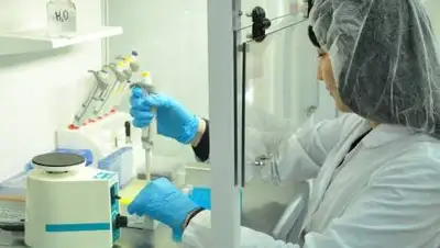 biosafety.kz, фото - Новости Zakon.kz от 20.08.2021 08:00