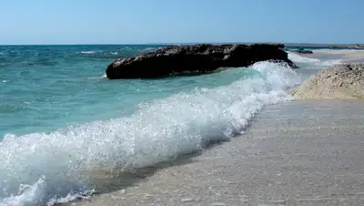 "Сезоны года", фото - Новости Zakon.kz от 22.01.2020 13:18