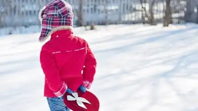 pixabay.com, фото - Новости Zakon.kz от 25.02.2019 13:35