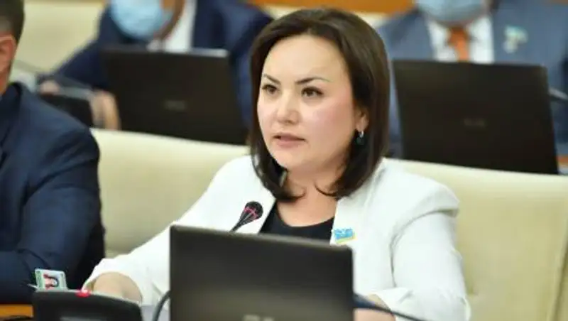 Разработать Климатическую доктрину Казахстана предложили депутаты