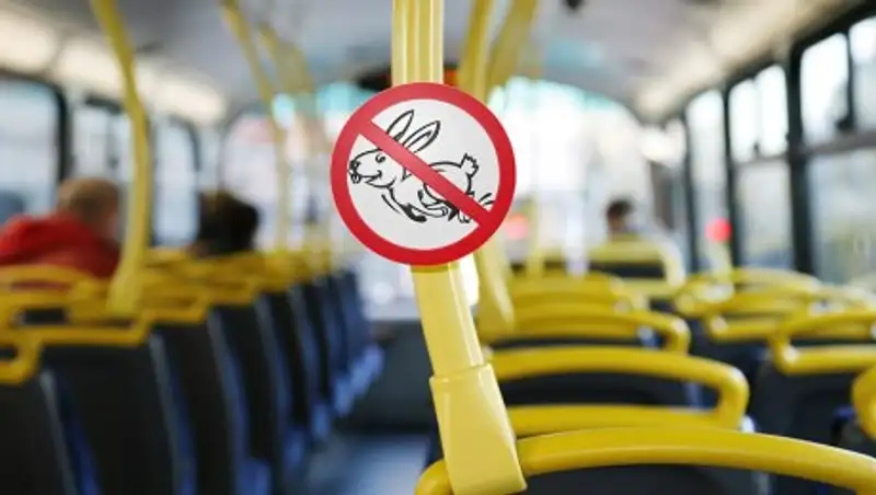 Почти 6 тыс. "зайцев" оштрафовали за неуплату проезда в Астане