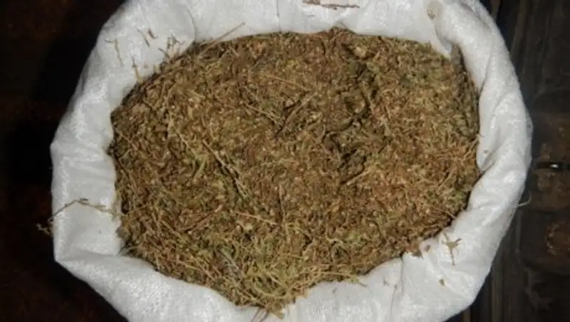 Наркокурьеров с мешком марихуаны поймали на полицейском посту в Алматинской области