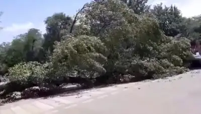 Кадр из видео, фото - Новости Zakon.kz от 27.07.2020 23:07