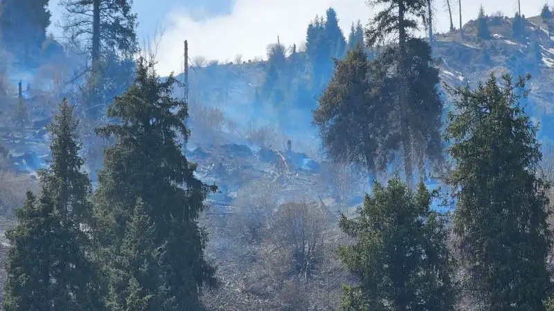 Медеу, горы, лес, пожар, фото - Новости Zakon.kz от 10.05.2023 11:59