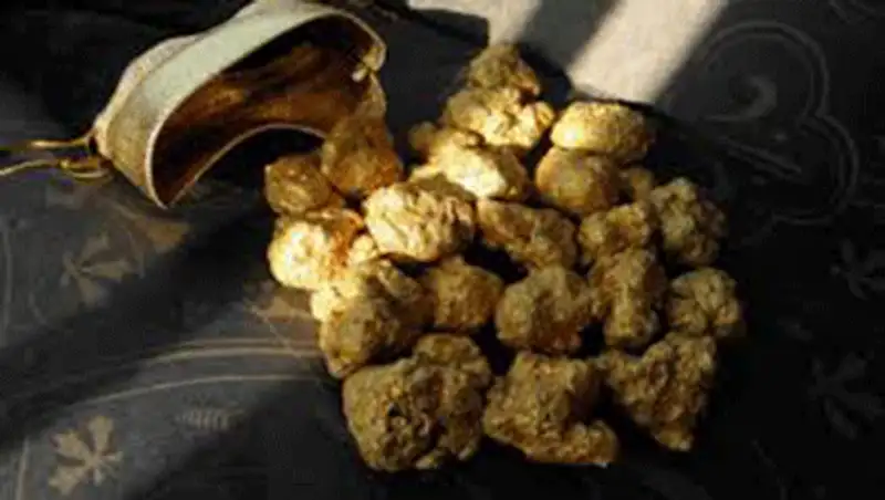 Казахстан может ввести запрет на вывоз золотосодержащего сырья, фото - Новости Zakon.kz от 17.02.2015 20:56