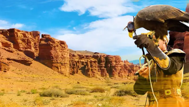 Токаев призывает защитить природу