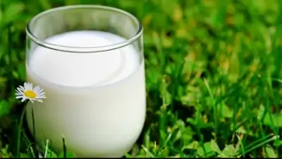 Zakon.kz, фото - Новости Zakon.kz от 11.05.2015 19:00