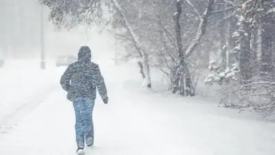 inform.kz, фото - Новости Zakon.kz от 19.02.2019 17:02