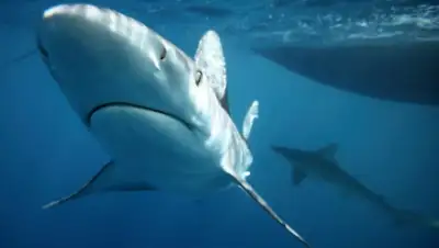 Zakon.kz, фото - Новости Zakon.kz от 01.05.2015 17:54