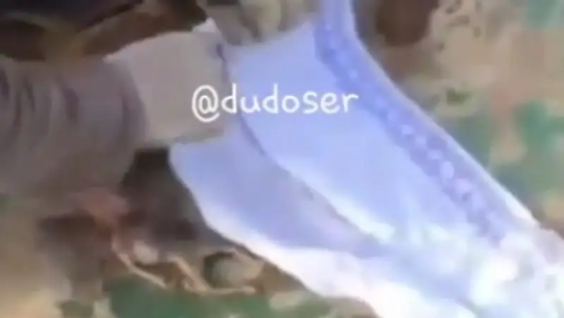 По факту обнаружения тела недоношенного ребенка возбуждено уголовное дело