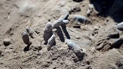 Zakon.kz, фото - Новости Zakon.kz от 17.11.2016 21:21