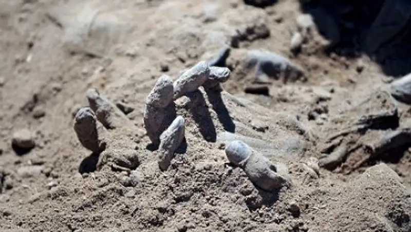 В пригороде Мосула боевики ИГ казнили более 300 человек