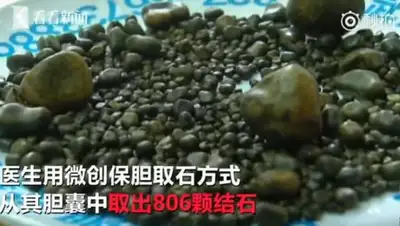 Zakon.kz, фото - Новости Zakon.kz от 08.09.2017 21:14