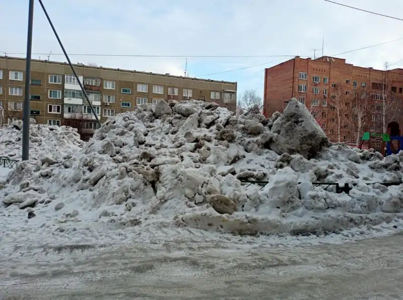 снег , фото - Новости Zakon.kz от 19.01.2023 16:41