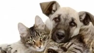 Zakon.kz, фото - Новости Zakon.kz от 31.10.2017 18:52