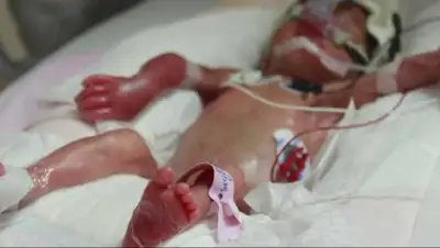 Zakon.kz, фото - Новости Zakon.kz от 02.08.2017 22:10