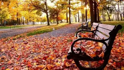 ktk.kz, фото - Новости Zakon.kz от 23.10.2018 09:30