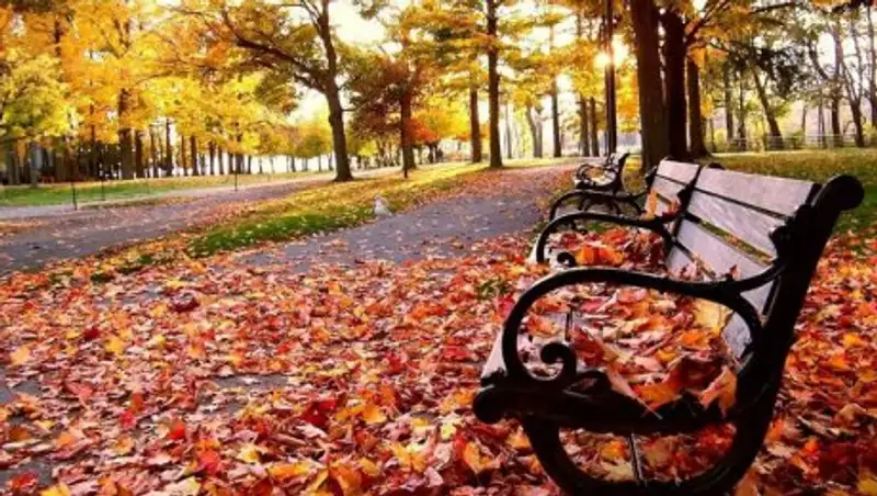 Погода без осадков ожидается в Казахстане 23 октября