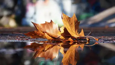 прогноз, погода, температура, фото - Новости Zakon.kz от 29.11.2021 11:14