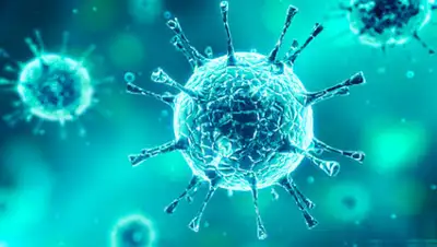 pravda.com.ua, фото - Новости Zakon.kz от 03.04.2020 14:04