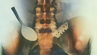 Рамблер, фото - Новости Zakon.kz от 26.11.2019 10:19