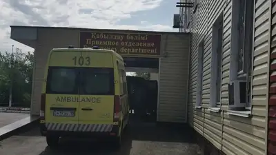 В Рудном ребенок попал в реанимацию после падения с дерева, фото - Новости Zakon.kz от 12.07.2023 16:23