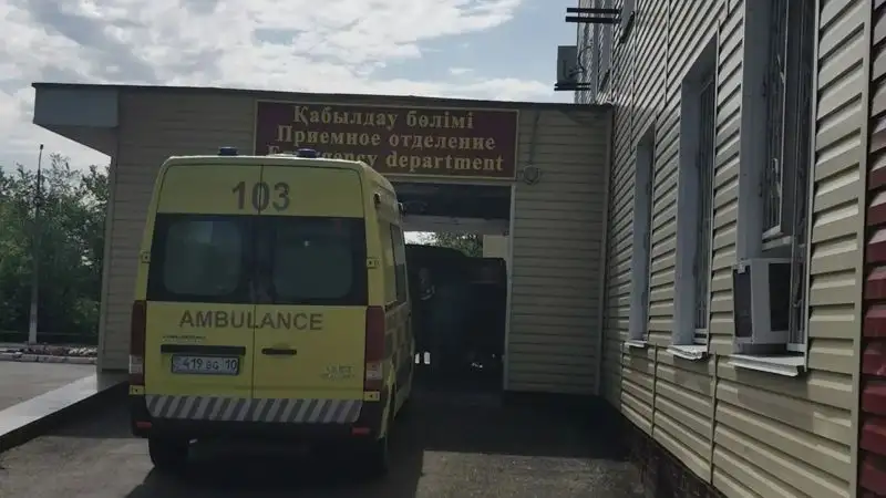 В Рудном ребенок попал в реанимацию после падения с дерева