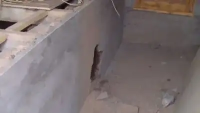 Zakon.kz, фото - Новости Zakon.kz от 16.11.2017 11:40