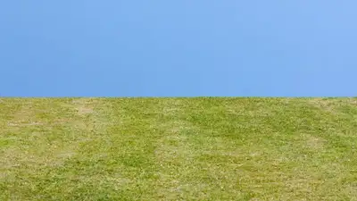 Землю стоимостью 7 млрд тенге вернули в госсобственность в Алматы, фото - Новости Zakon.kz от 16.08.2023 10:07