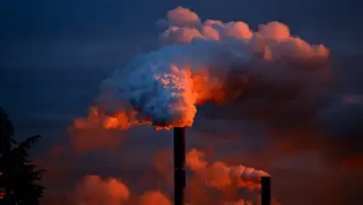 Pixabay, фото - Новости Zakon.kz от 20.08.2020 01:57